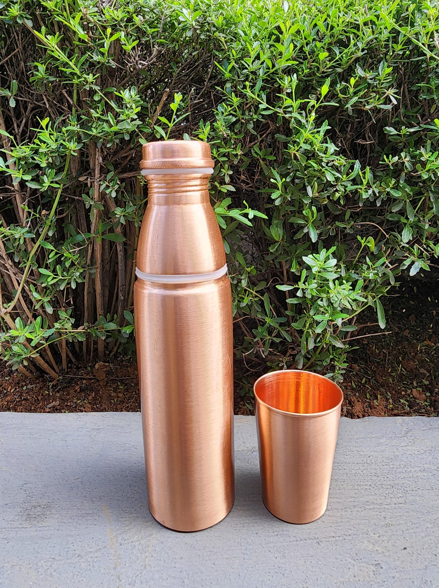 Smooth 2-in-1 Bottle and Cup