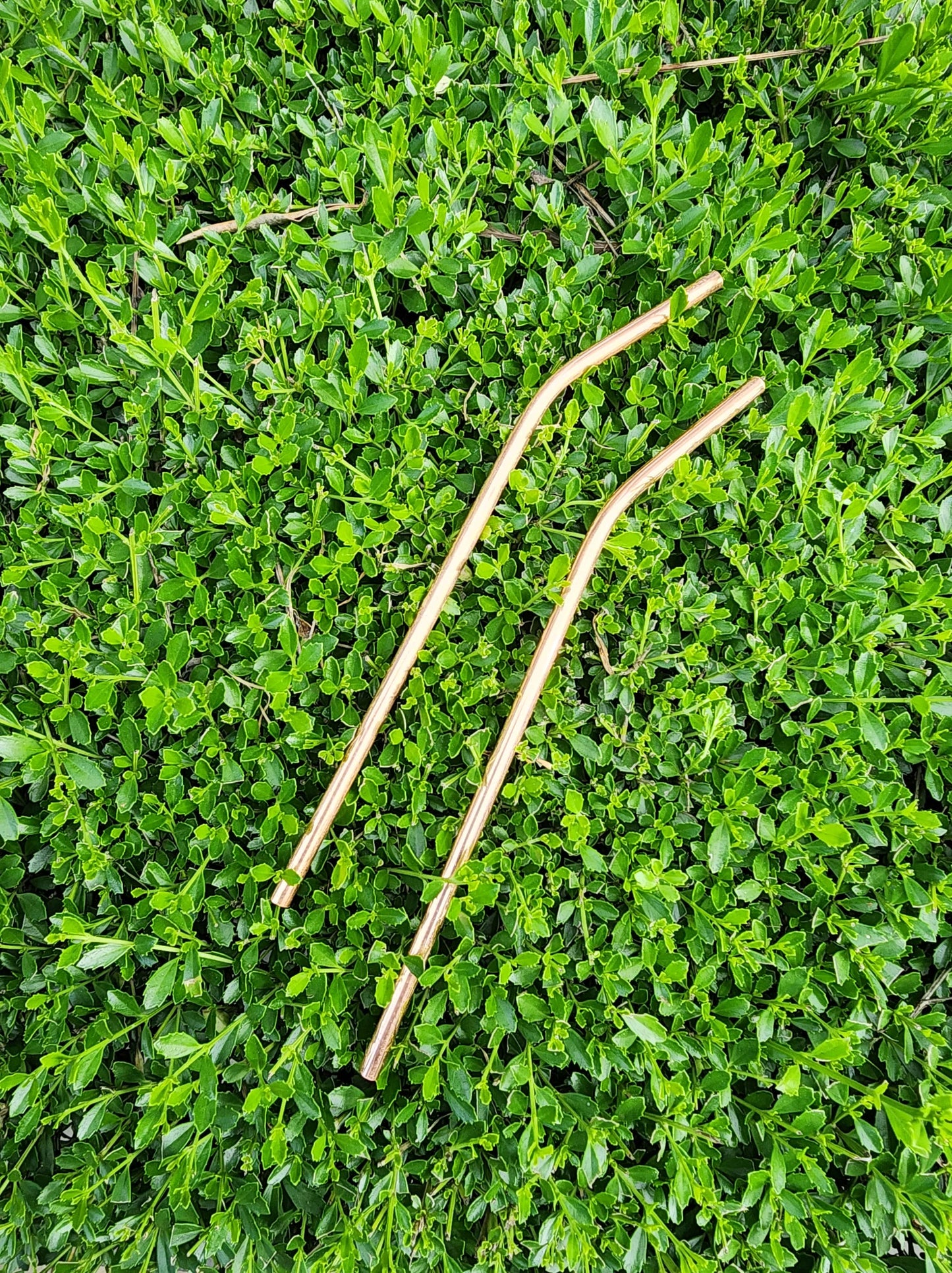 Copper Straw
