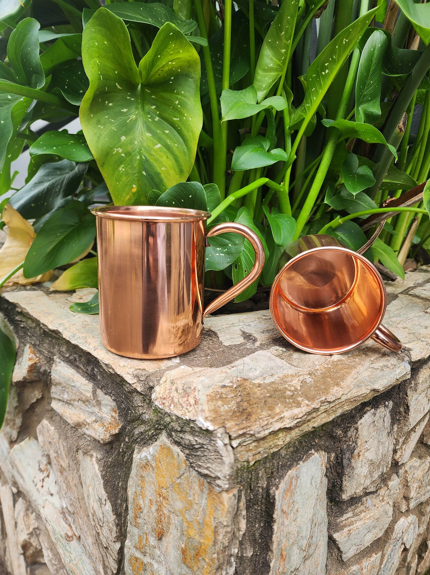 Smooth Copper Mug (Set of 2)