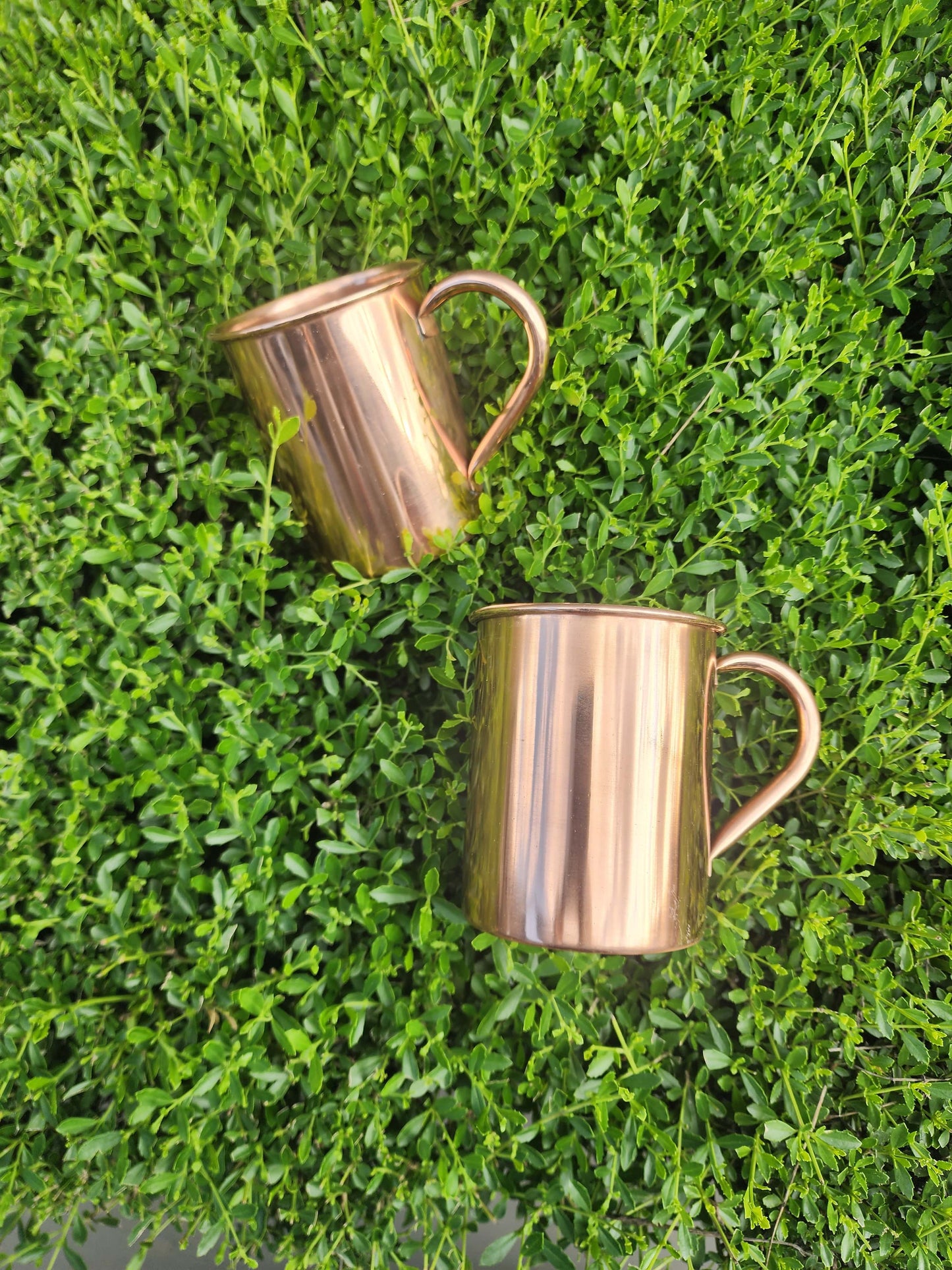 Smooth Copper Mug (Set of 2)