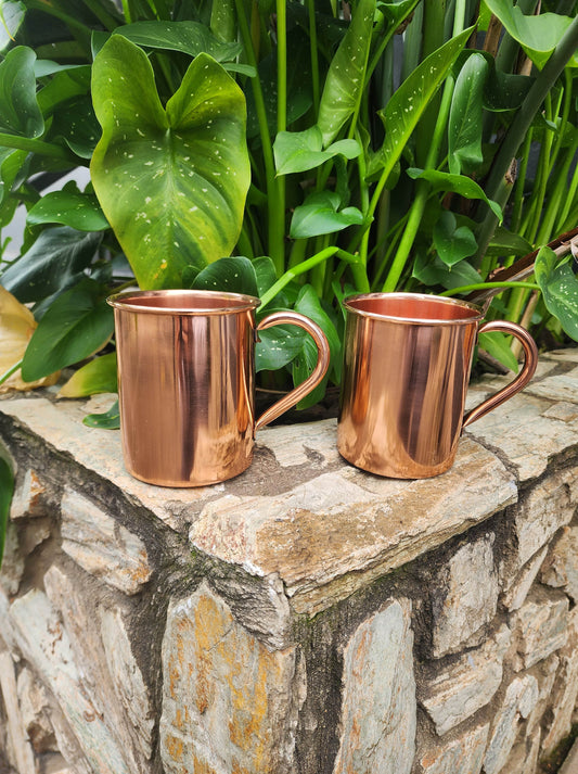 Smooth Copper Mug (Set of 2)
